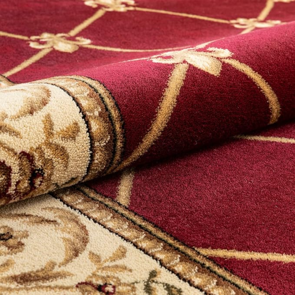 Well Woven Oriental Luxurious Red Rug - Image 6